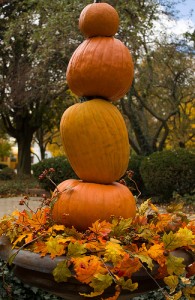 Stacked Pumpkins