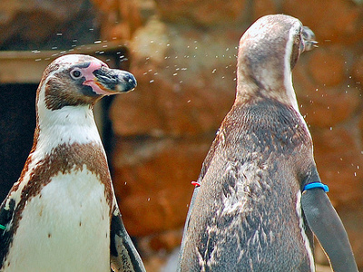 #new#Sea Life Centre Vouchers