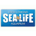 Sea Life Centre Loch Lomond