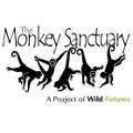 Monkey Sanctuary 