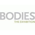 Bodies Exhibition NYC