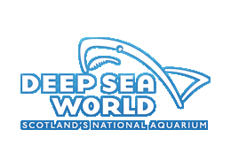 Deep Sea World