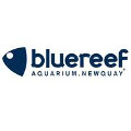Blue Reef Aquarium Newquay