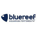 Blue Reef Aquarium Portsmouth