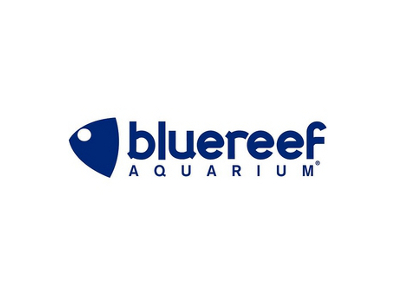 Blue Reef Aquarium Tynemouth