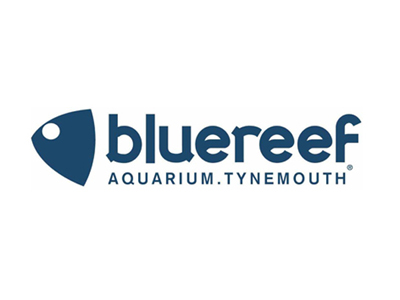 Blue Reef Aquarium Tynemouth