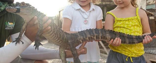 Discount coupons australian reptile park